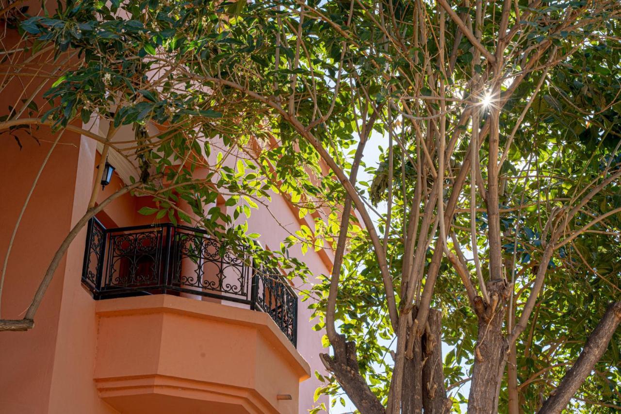 Las Palmeras Guest House Douar Caïd Layadi Buitenkant foto
