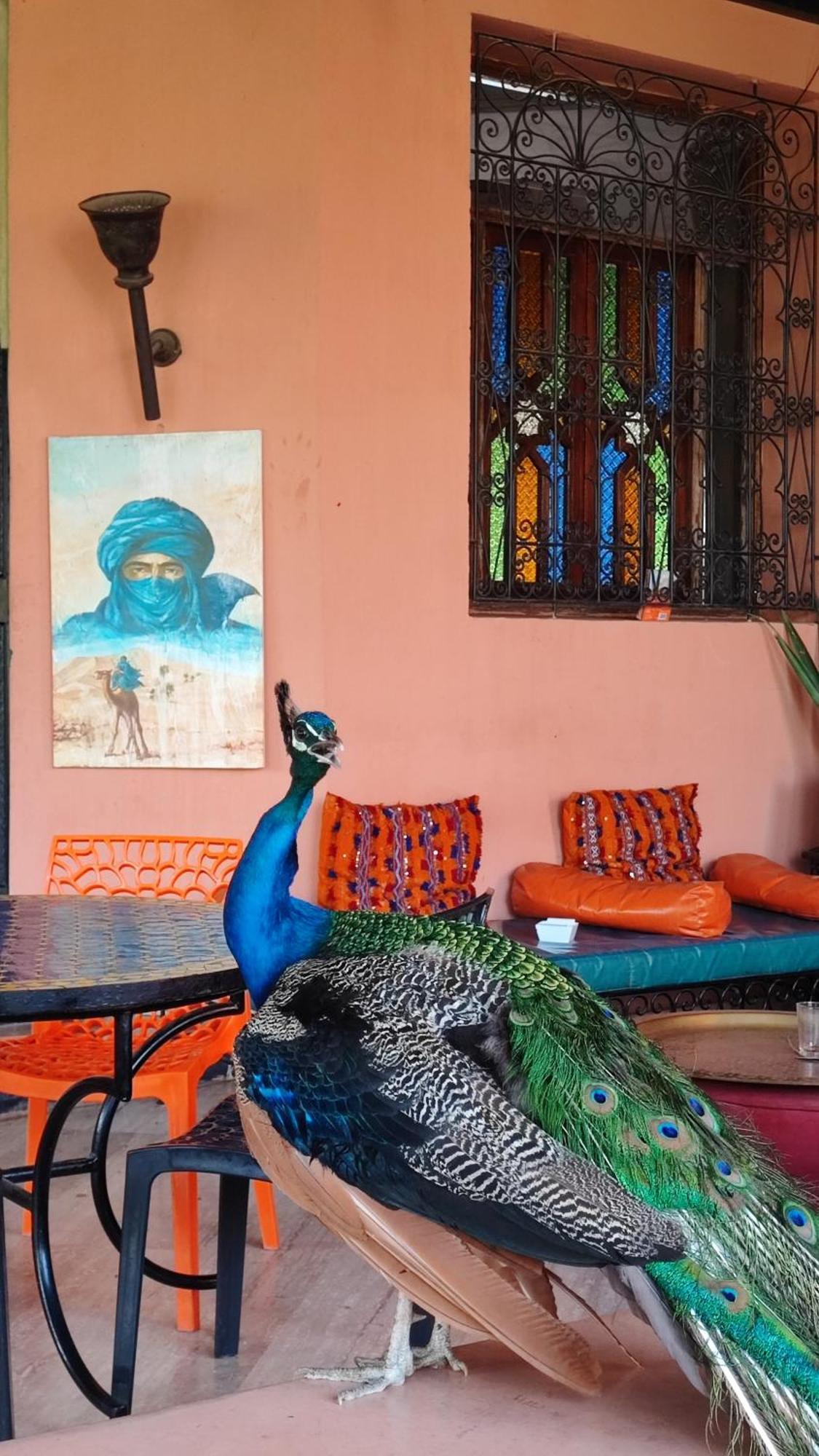 Las Palmeras Guest House Douar Caïd Layadi Buitenkant foto